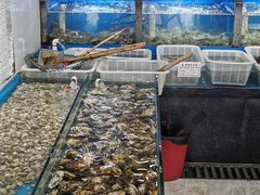 水产区-桔子海鲜烧烤大排档(金沙滩店)
