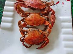 -宾朋海鲜饭庄(兴海路店)