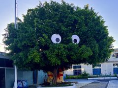 -巨鹏飞梦幻海岸