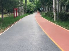 -大兴滨河森林公园