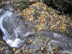 -藏龙百瀑风景区