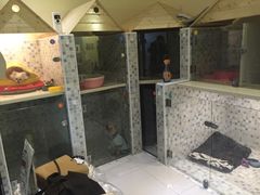 -Oh My Dog宠物沙龙(伊珊娜皮毛护理店)