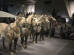 -秦始皇帝陵博物院-丽山园