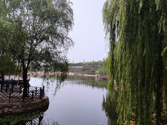 -李家庄村