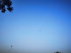 -东莞植物园