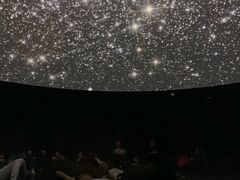 -贝林大翅鲸简餐厅(国家海洋博物馆店)