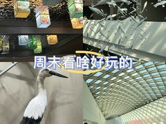 -中国湿地博物馆