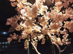 -芥末日本料理(打浦路铂尔曼旗舰店)