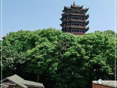 -黄鹤楼公园(黄鹤楼)