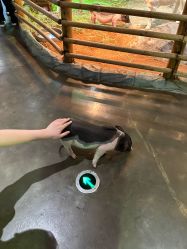 -Zoolung Zoolung动物主题公园(海信广场店)