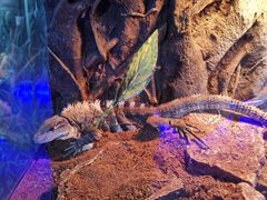 -荆州中山公园动物园