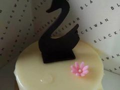 iphone_upload_pic-BLACKSWAN黑天鹅(环球店)