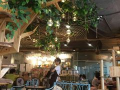 大堂-共舞时光猫咖·狗咖(新街口店)