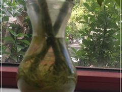 -清真-戏楼王记牛肉面