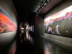 -罗红摄影艺术馆