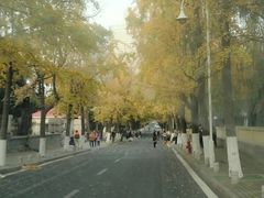 -八大关景区