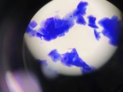 -宠颐生动物医院·小陆分院