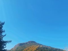 -玉泉威虎山森林公园
