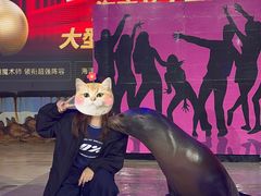 -三亚海昌梦幻海洋不夜城