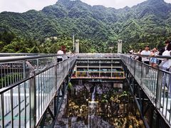 -梦幻奥陶纪景区