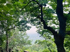 -北京鹫峰国家森林公园