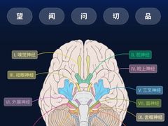 -壹点灵·心理咨询中心(中山公园店)