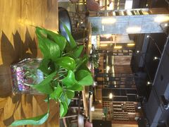 “考拉醉了”葡萄酒生活馆-考拉小食堂