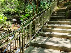 -火炉山森林公园