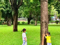 -晓港公园