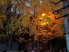 -牛班音乐学校(晶融汇购物中心店)