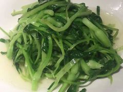 鸡毛菜-川味堂·四川豆花(八卦岭店)