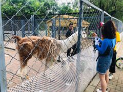 -长白岛森林公园