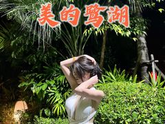 -美的鹭湖森林度假区