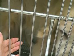 -佳雯宠物医院·皮肤科·内外科(春晓路分院)