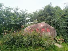-鹅湖玫瑰文化园