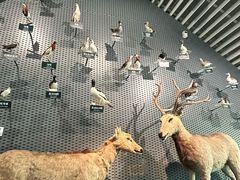 -中国湿地博物馆