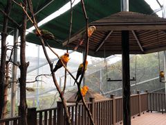 -燕塞湖鸟语林景区