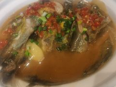 -野渡坡·极致湘菜·庭院餐厅(汉阳店)