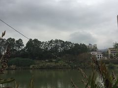 -大亚湾红树林城市湿地公园