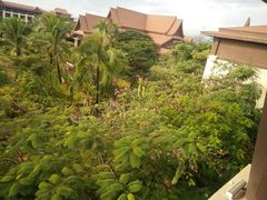 -西双版纳融创皇冠假日度假酒店