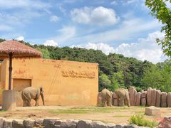 -沈阳森林动物园