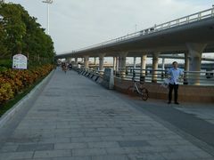 -演武大桥观景平台