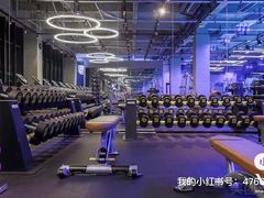 -GYMCARE VIVA(金开店)