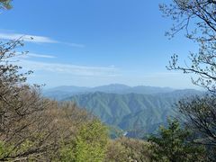 -牛背梁国家森林公园