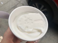 -洪馨椰子