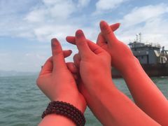 -海豚湾扬帆出海帆船游艇