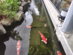 -贵阳高新惠诚食品有限公司