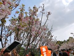 -观澜湖生态运动公社