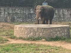 -西安秦岭野生动物园