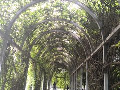 -凯德广场(武胜路店)